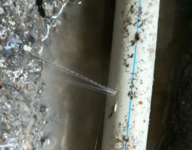 昌黎测漏水哪家好