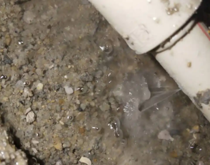 昌黎测漏水电话号码