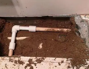 昌黎测漏水哪家好