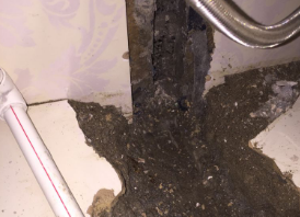 昌黎卫生间测漏水哪家好