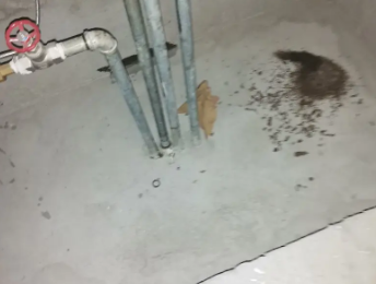 昌黎卫生间测漏水价格明细