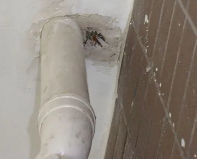 昌黎漏水检测哪家好